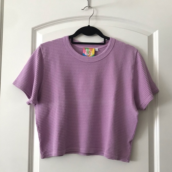 Big Bud Press Tops - Big Bud Press Cropped Honeycomb T Shirt Lilac Purple Size Small